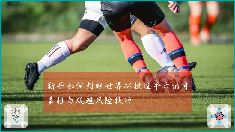 新手如何判断世界杯投注平台的可靠性与规避风险技巧
