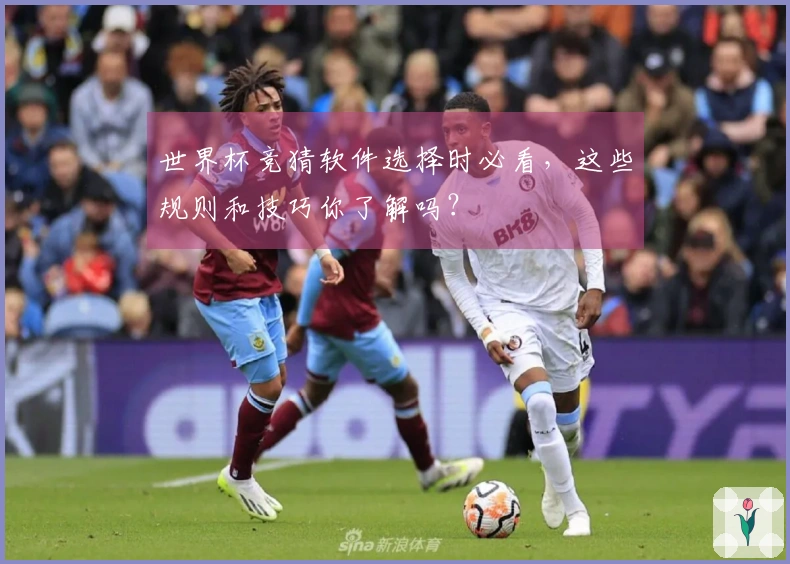 世界杯竞猜软件选择时必看,这些规则和技巧你了解吗?